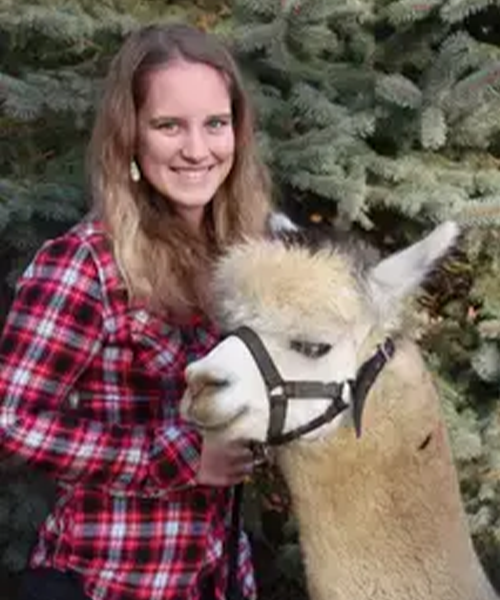 Vet with a llama