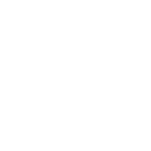 pet wellness care icon