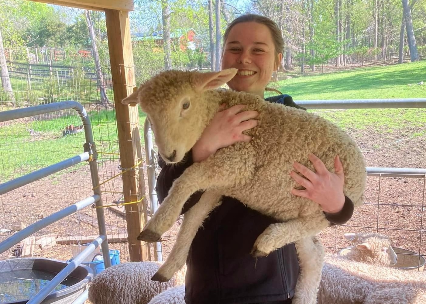 Vet staff holding a lamb