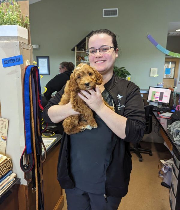 A vet staff holding a puppy